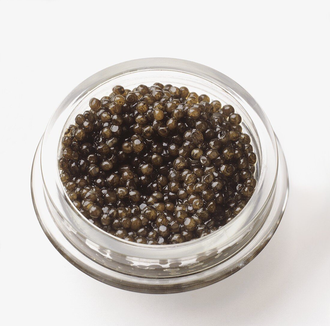 Beluga Malossol Kaviar im Glasschälchen