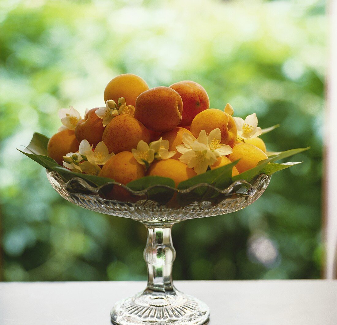 Aprikosen und weiße Blüten in einer Kristallschale
