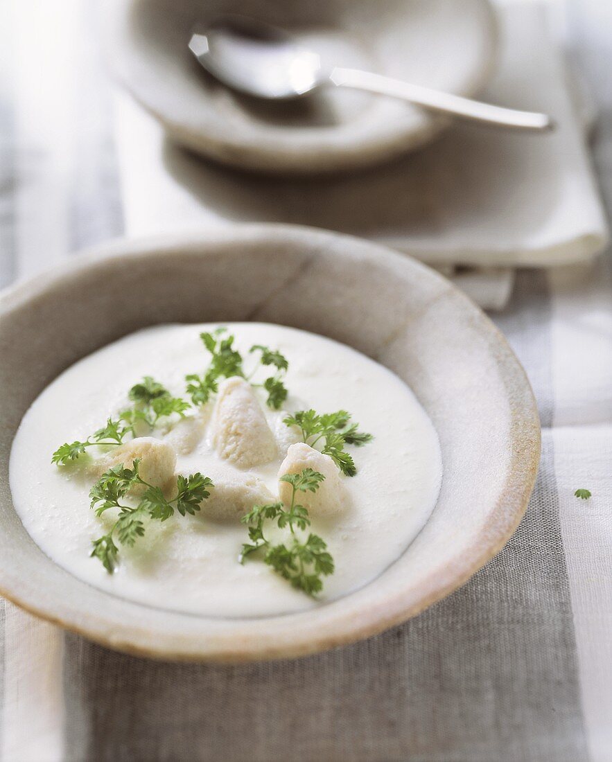 Riesling soup with pike-perch dumplings and fresh chervil