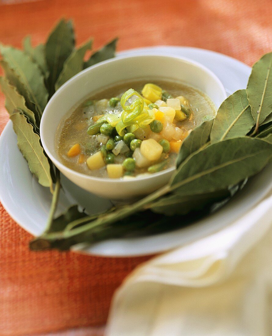 Spring vegetable stew surrounded by bay leaves