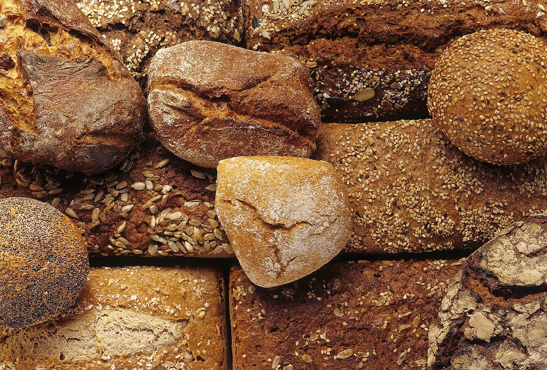 Various wholemeal loaves and rolls