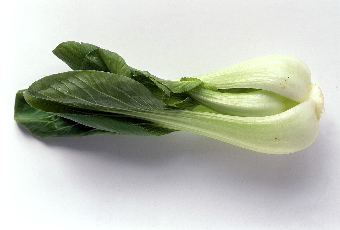 Ein Pak Choi auf weißem Untergrund