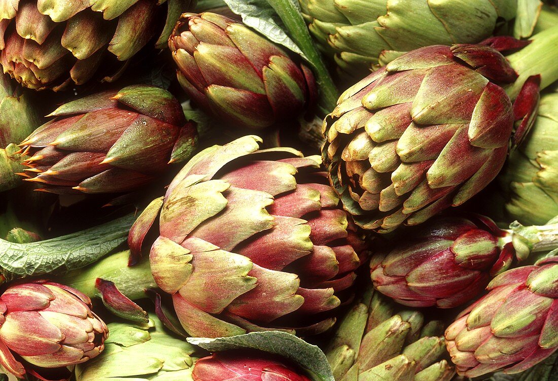 Green and purple artichokes (filling the picture)