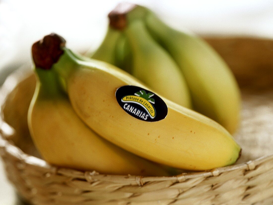 Zwei Bananenstauden von den Kanarischen Inseln im Korb