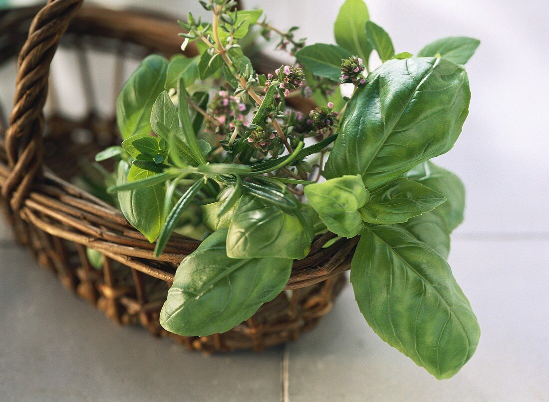 Basil, thyme and rosemary in basket