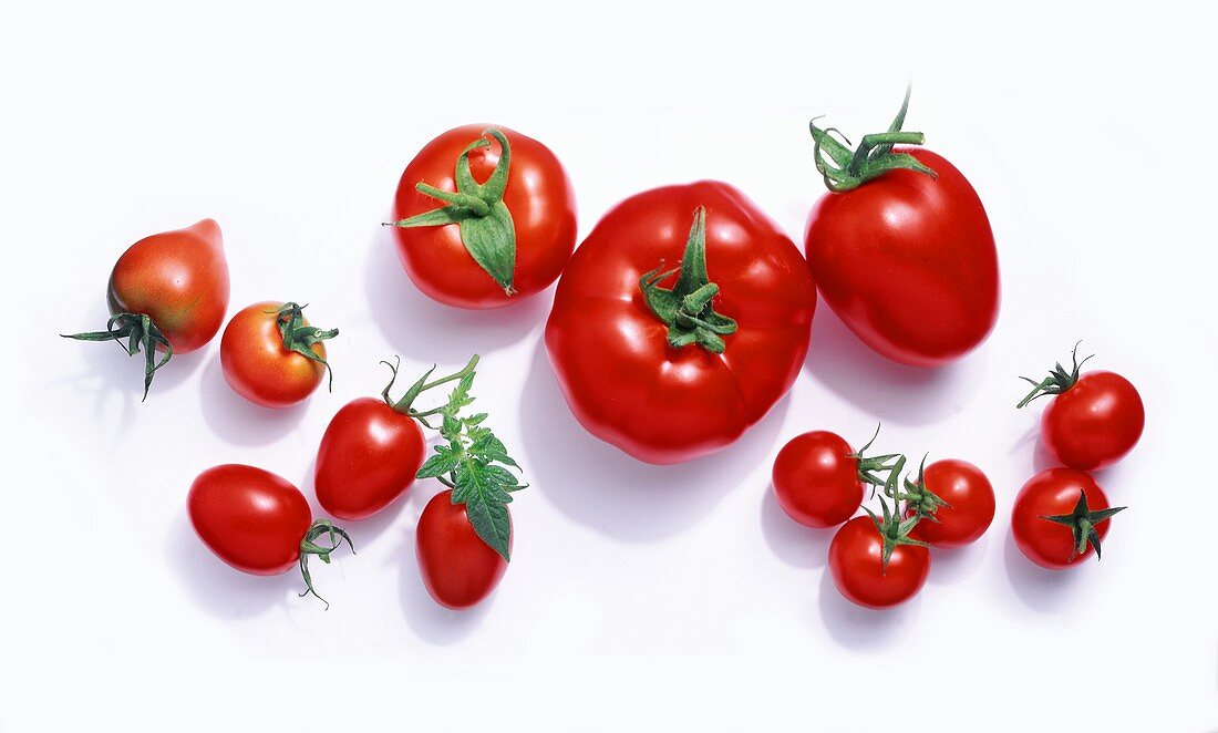 Various types of tomatoes