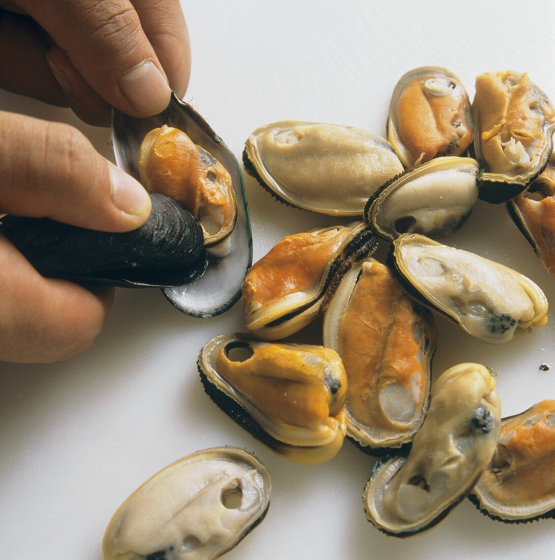 Taking cooked mussels out of shells