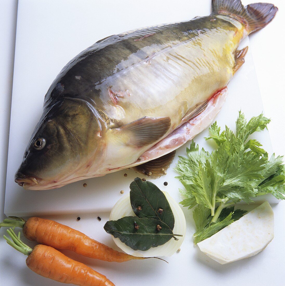 Frischer Spiegelkarpfen mit Suppengemüse