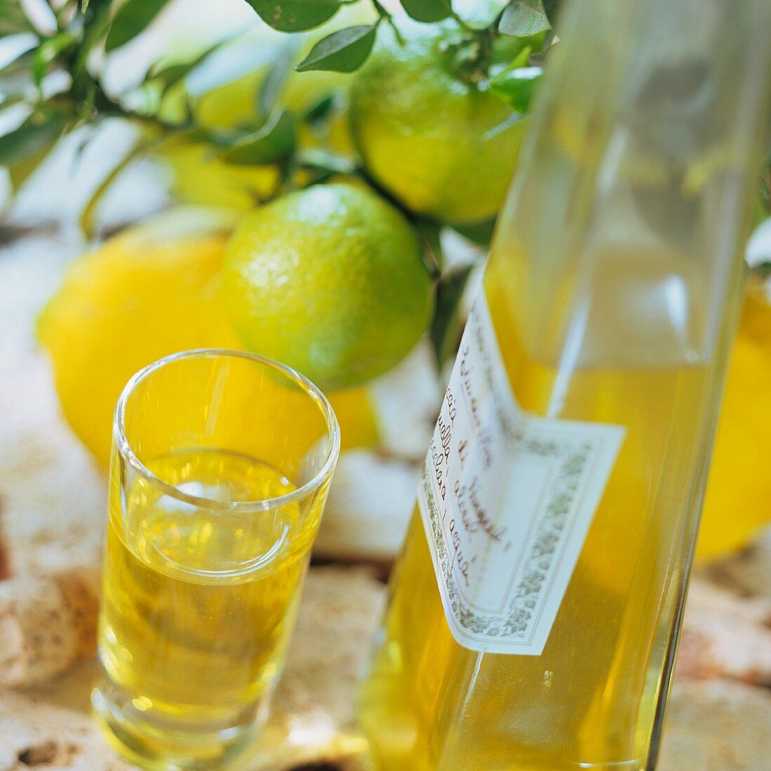 Limoncello (home-made lemon liqueur), Campania, Italy