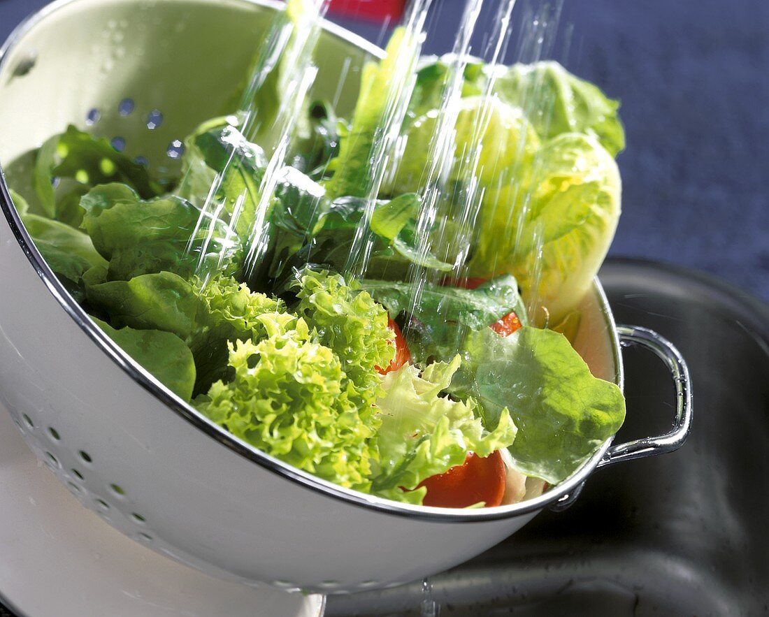 Frische Salate im Sieb waschen