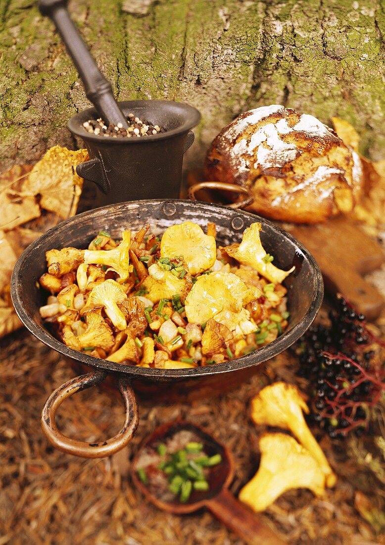 Pfifferlingspfanne mit Schnittlauch in herbstlicher Deko