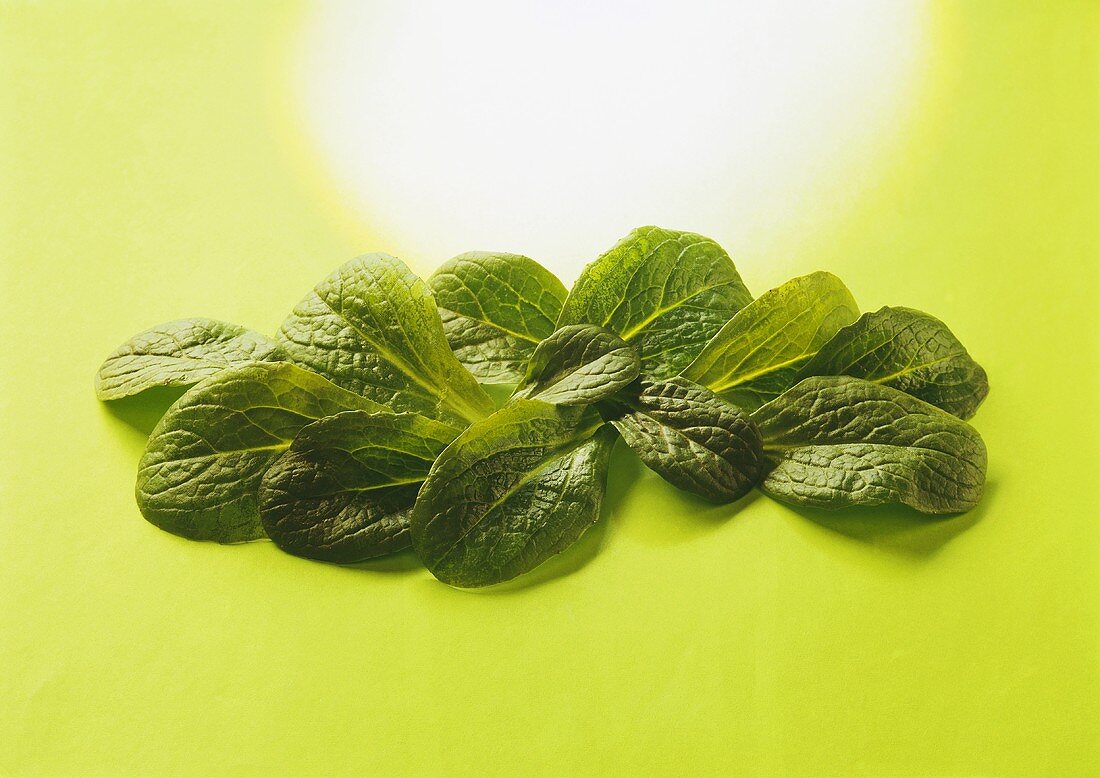 Fresh spinach leaves on pale-green background
