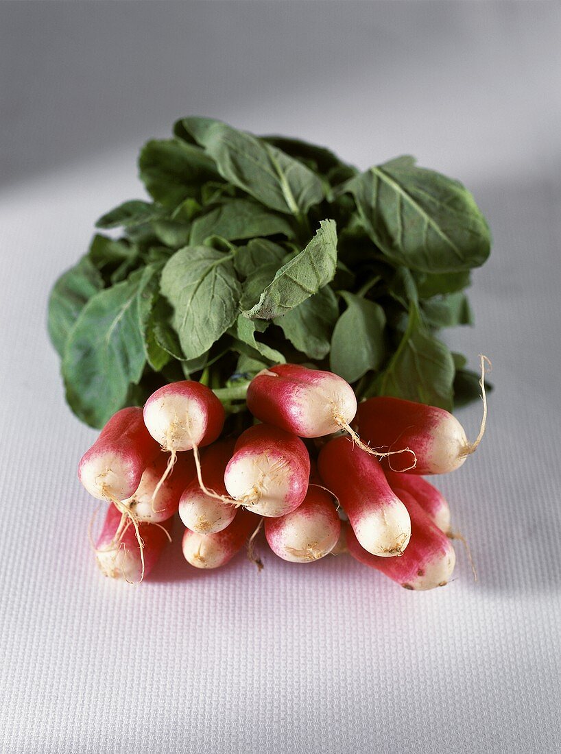 A bunch of radishes on a light background