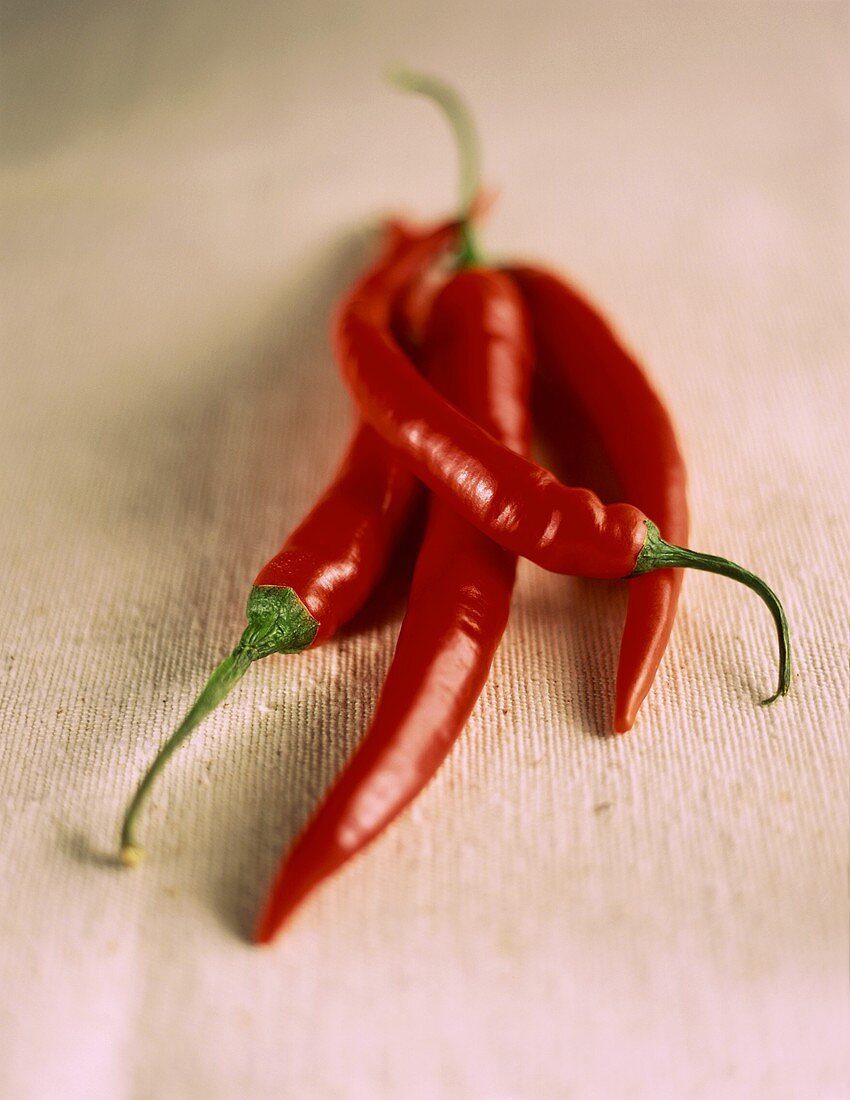 Four Red Thai Chilies