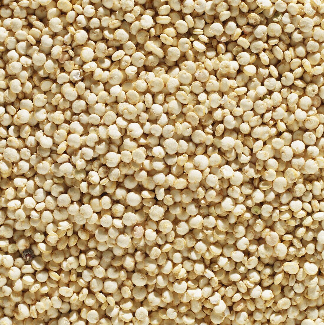 Quinoa (filling the picture)