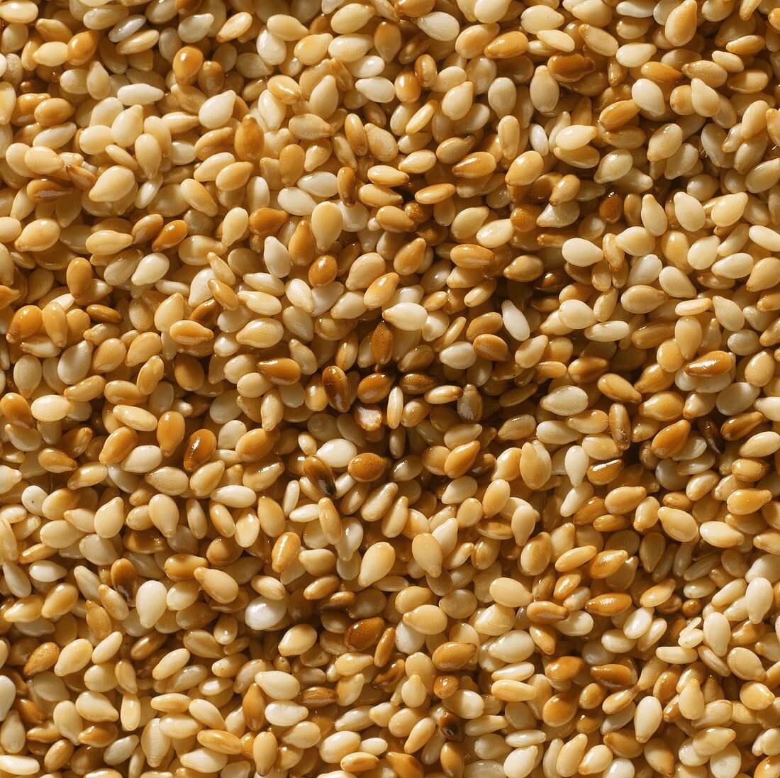 Roasted sesame (filling the picture)