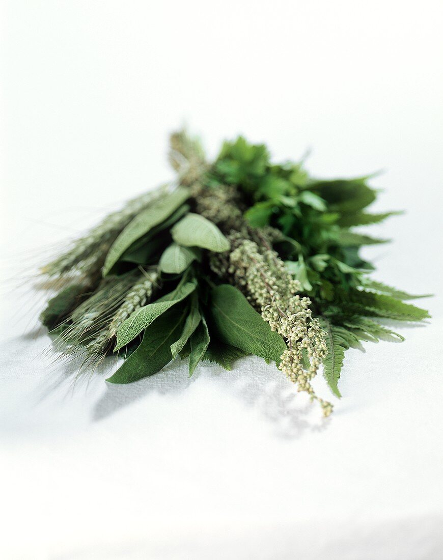 Herb bouquet: sage, mugwort, parsley, fern etc