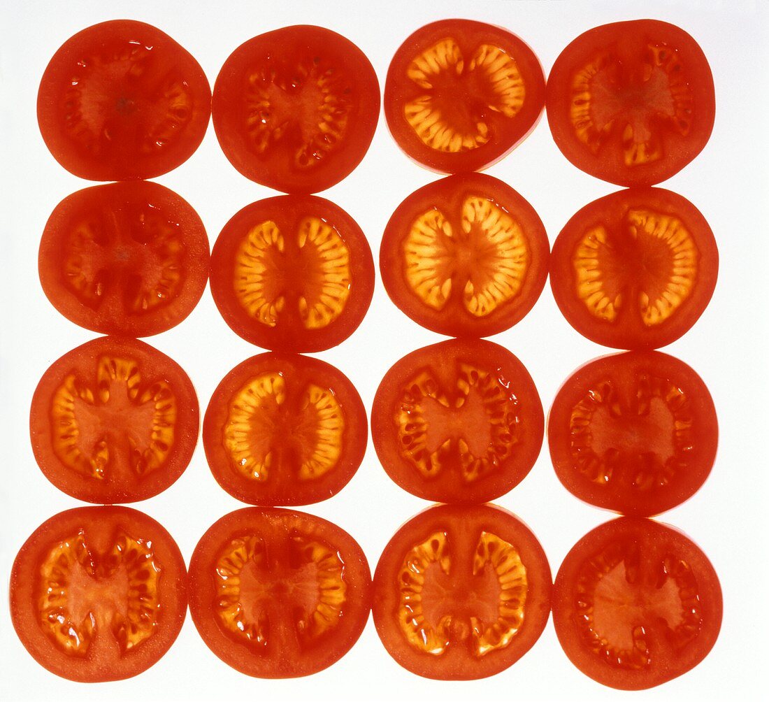 Tomato slices, arranged in a square