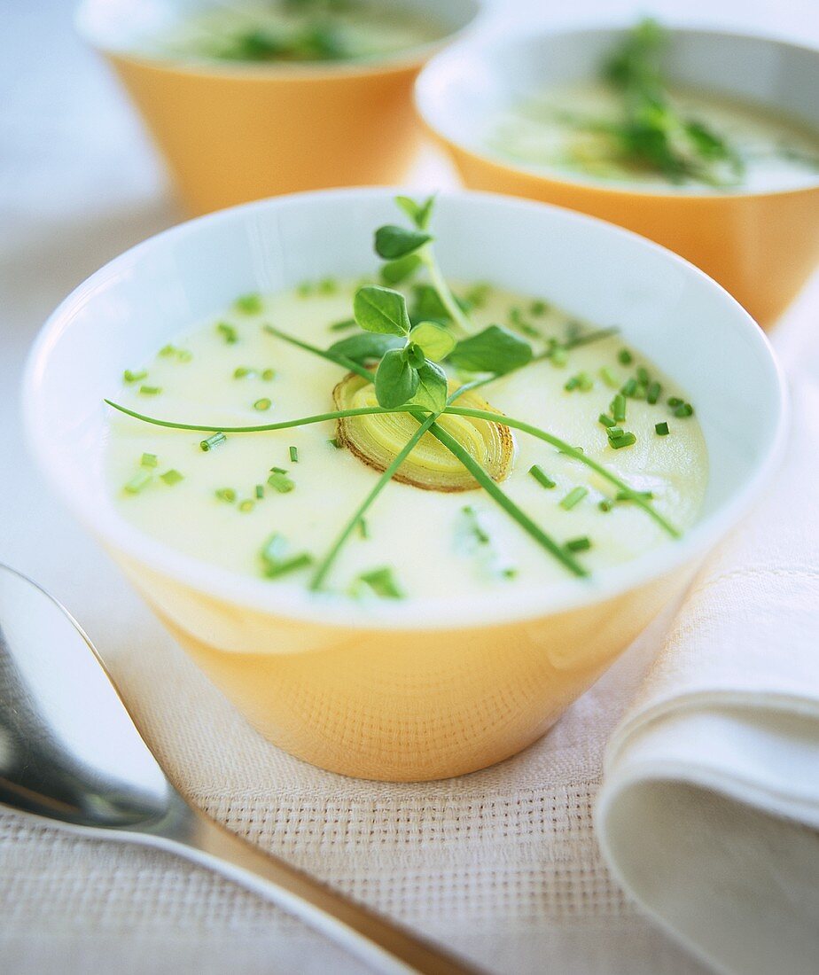 Cream of potato soup with fresh herbs