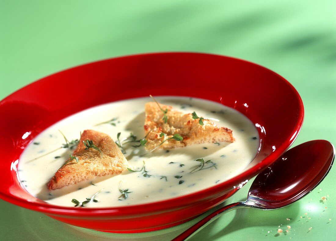 Cheese soup with beer toast and fresh cress