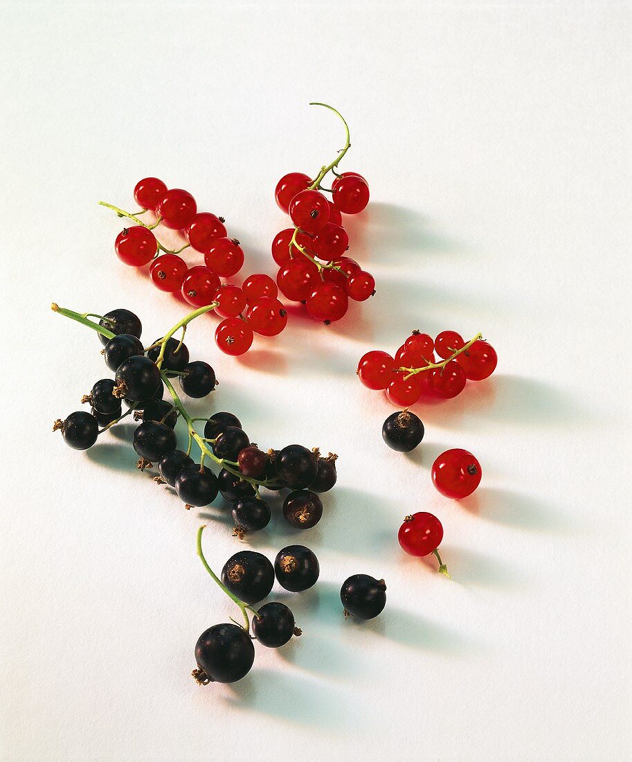 Blackcurrants and redcurrants