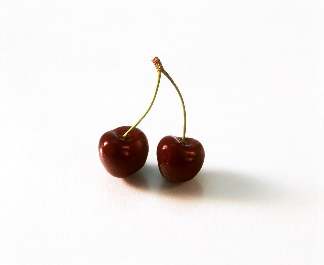 Two cherries on stalks