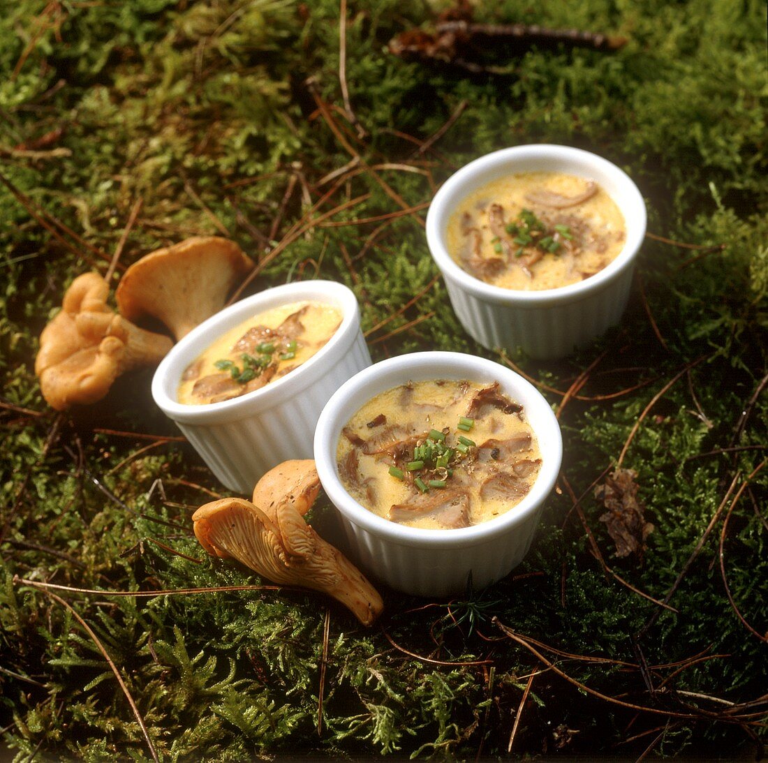 Egg and chanterelle flan in baking dish on grass