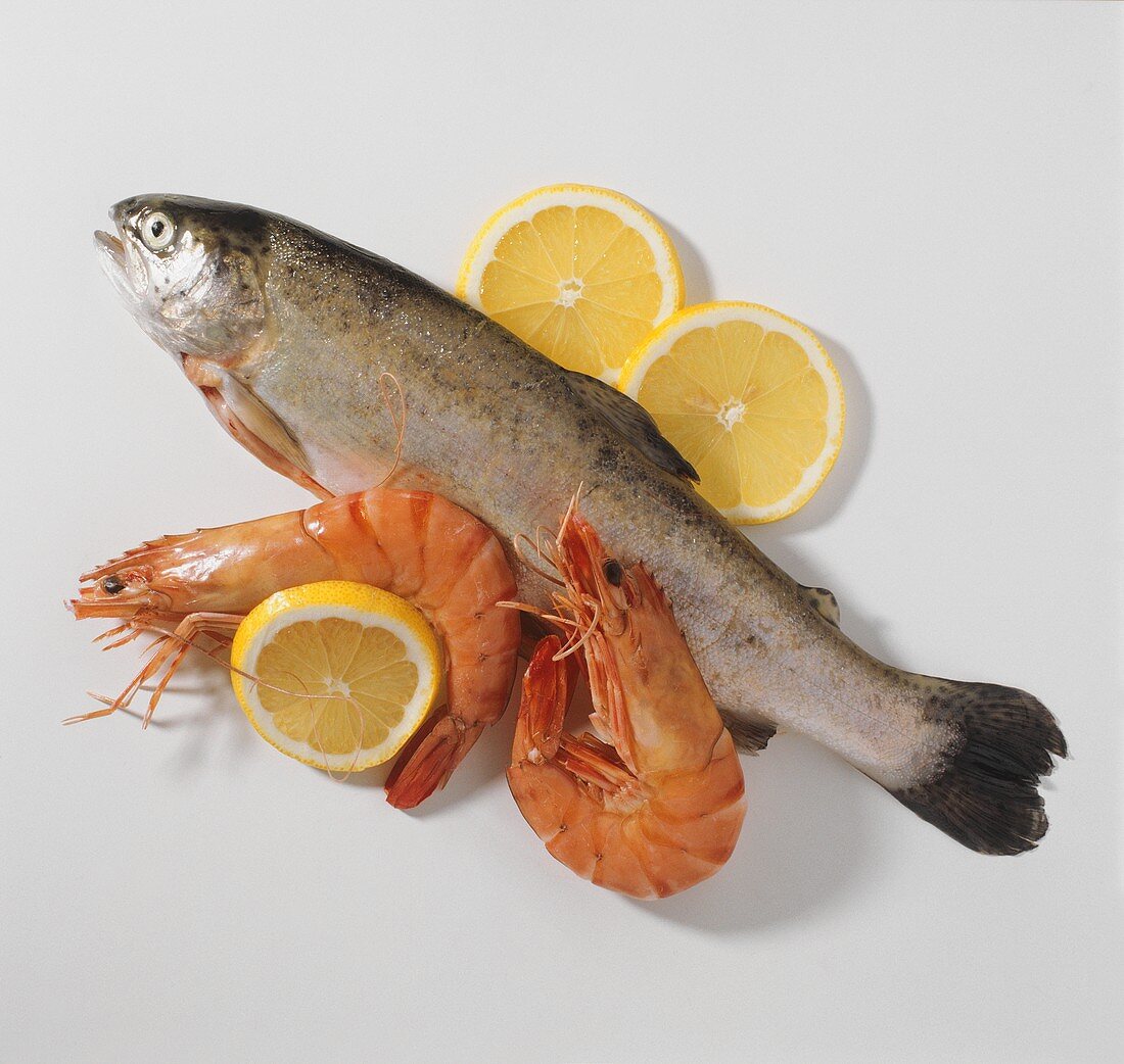 Fresh trout, shrimps and lemon slices