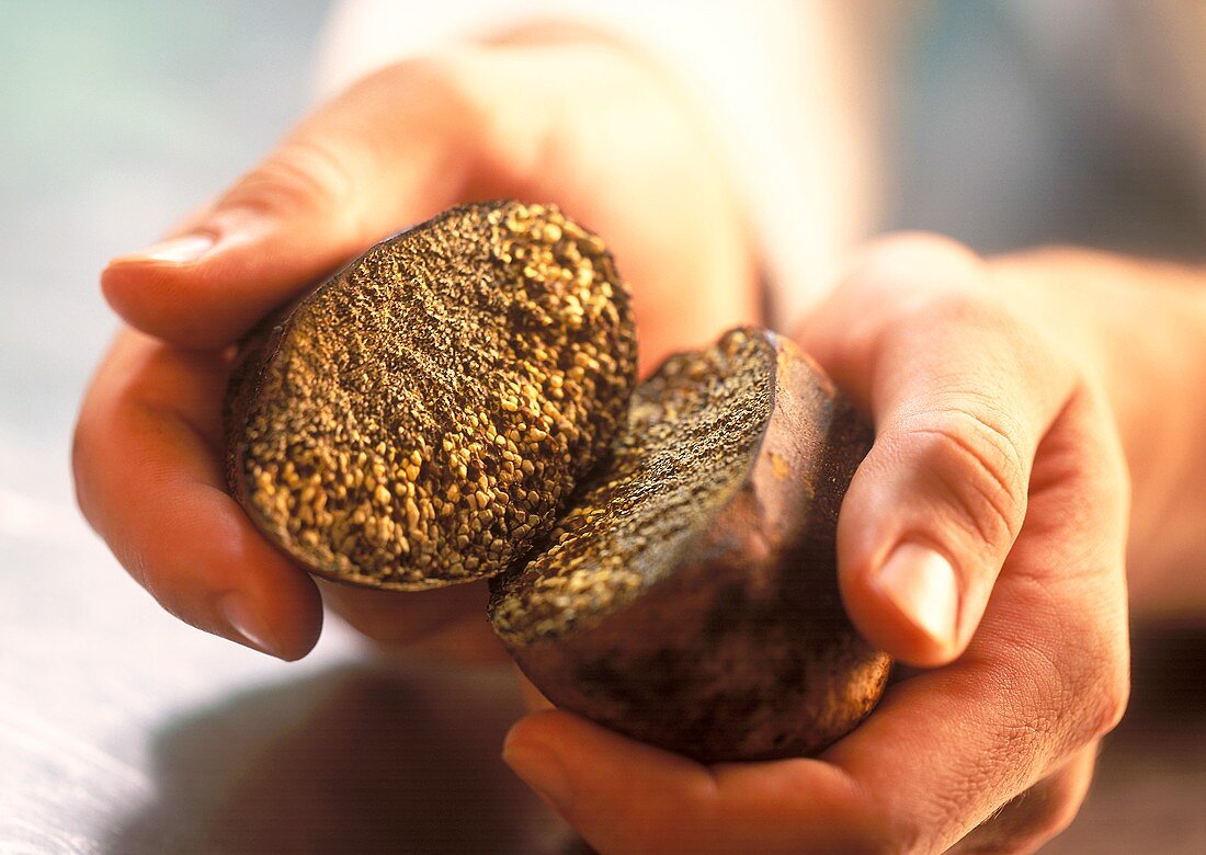 Hands holding halved slate truffles