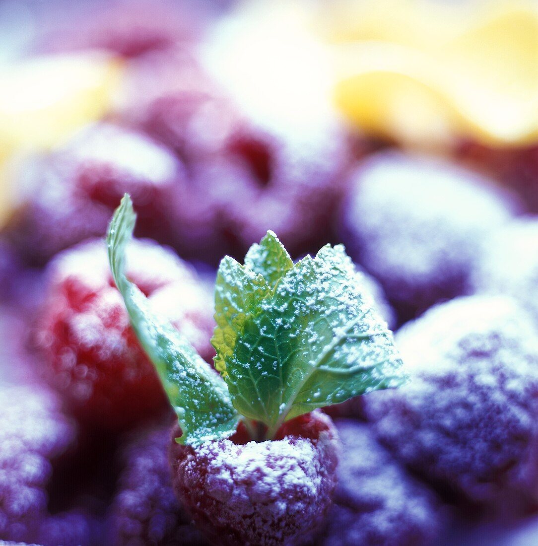 Frische Himbeeren mit Puderzucker und Zitronenmelisse