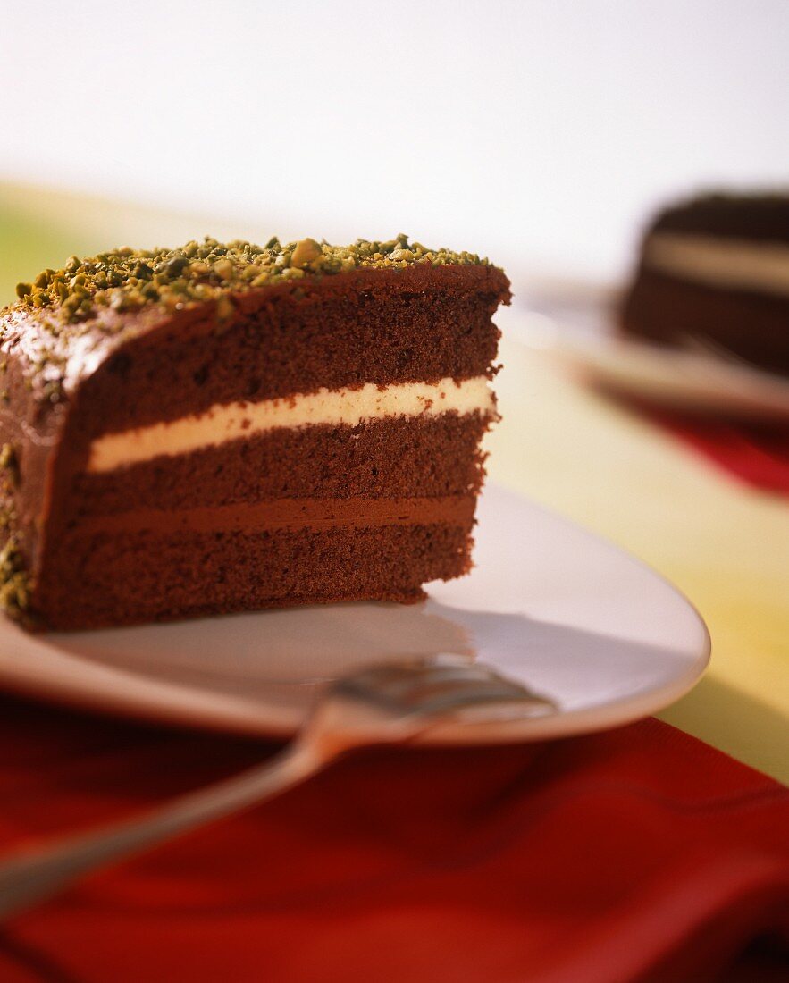 Piece of black & white chocolate cake with chopped pistachios