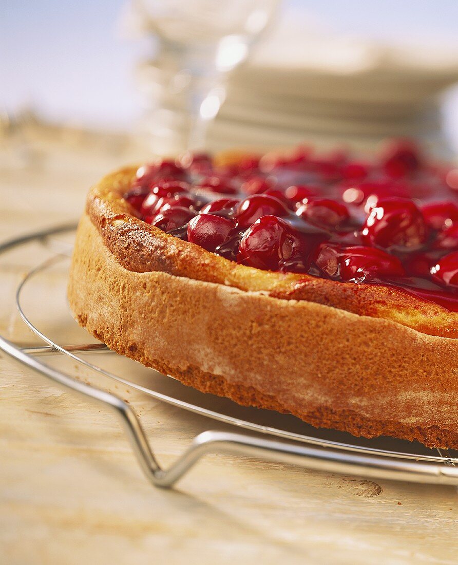 Käsekuchen mit Rotweinkirschen auf Kuchengitter