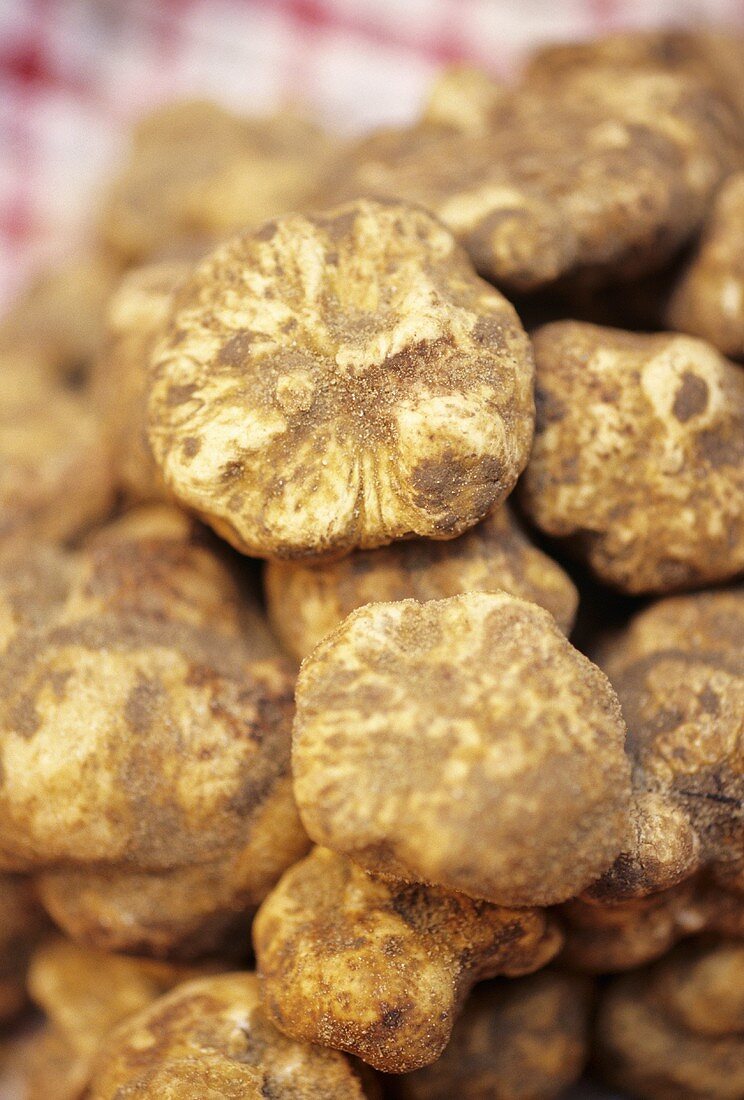 White truffles