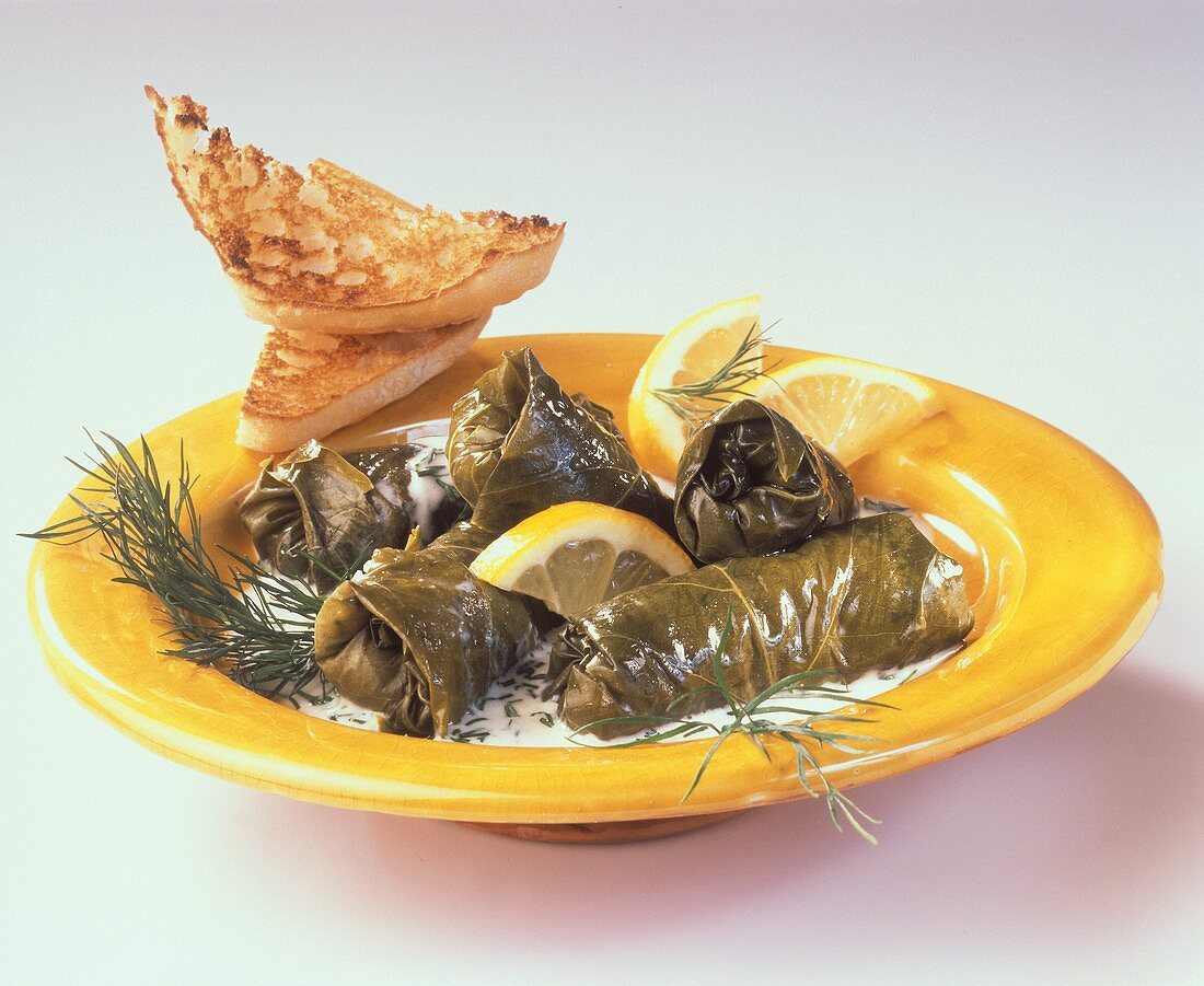 Stuffed vine leaves in dill sauce