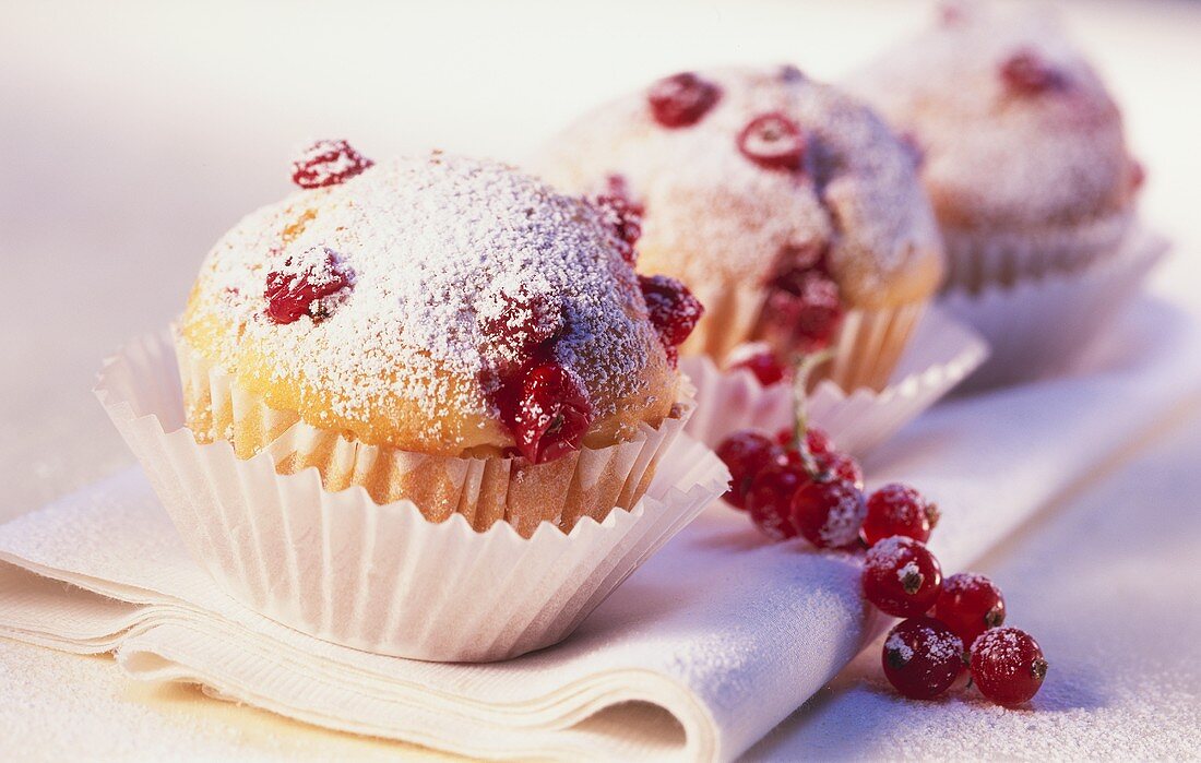 Blackcurrant muffins with icing sugar in paper case