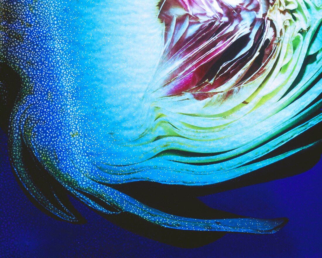 Half an artichoke against blue background