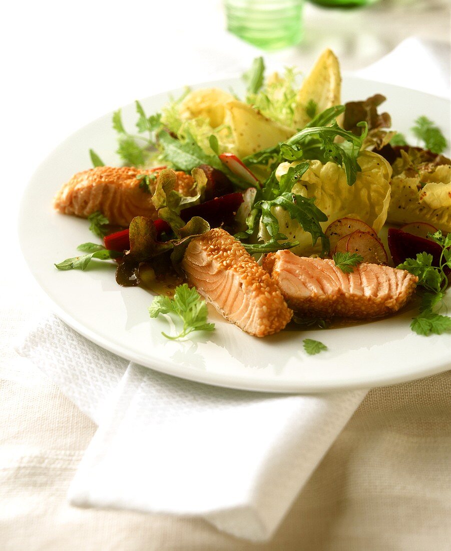 Colourful salad with sesame salmon
