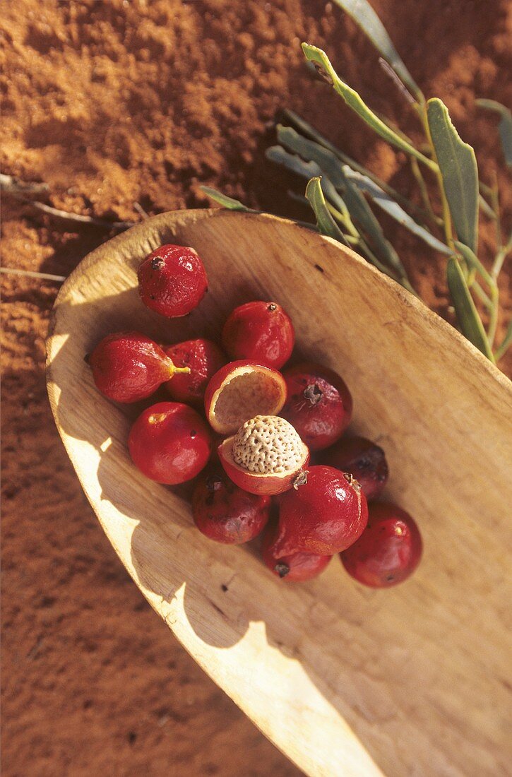 Australische Quandongs in Holzschale