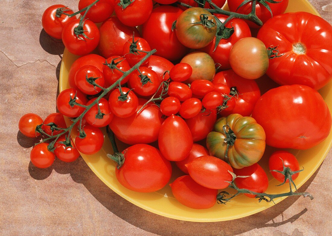 Various tomatoes on yellow plate