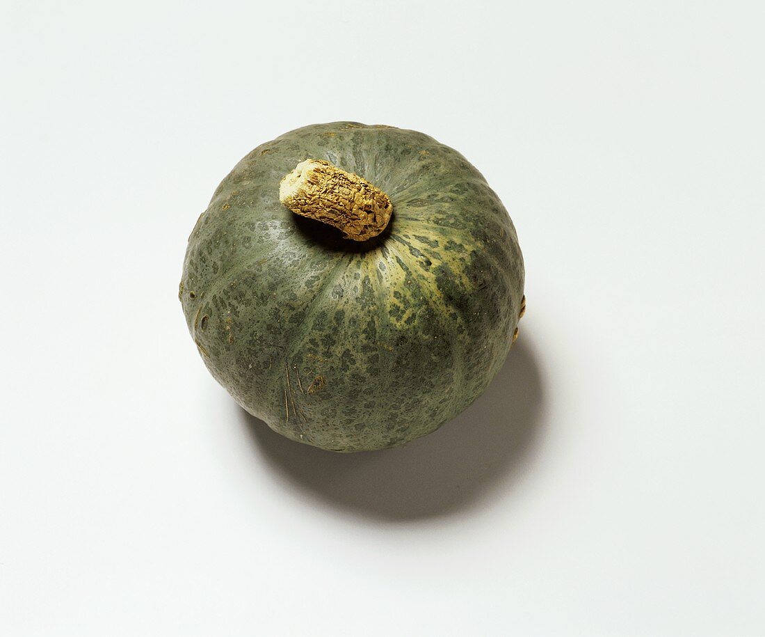 Grüner Kürbis, Sorte: Kabocha (engl. Sweet Mama)