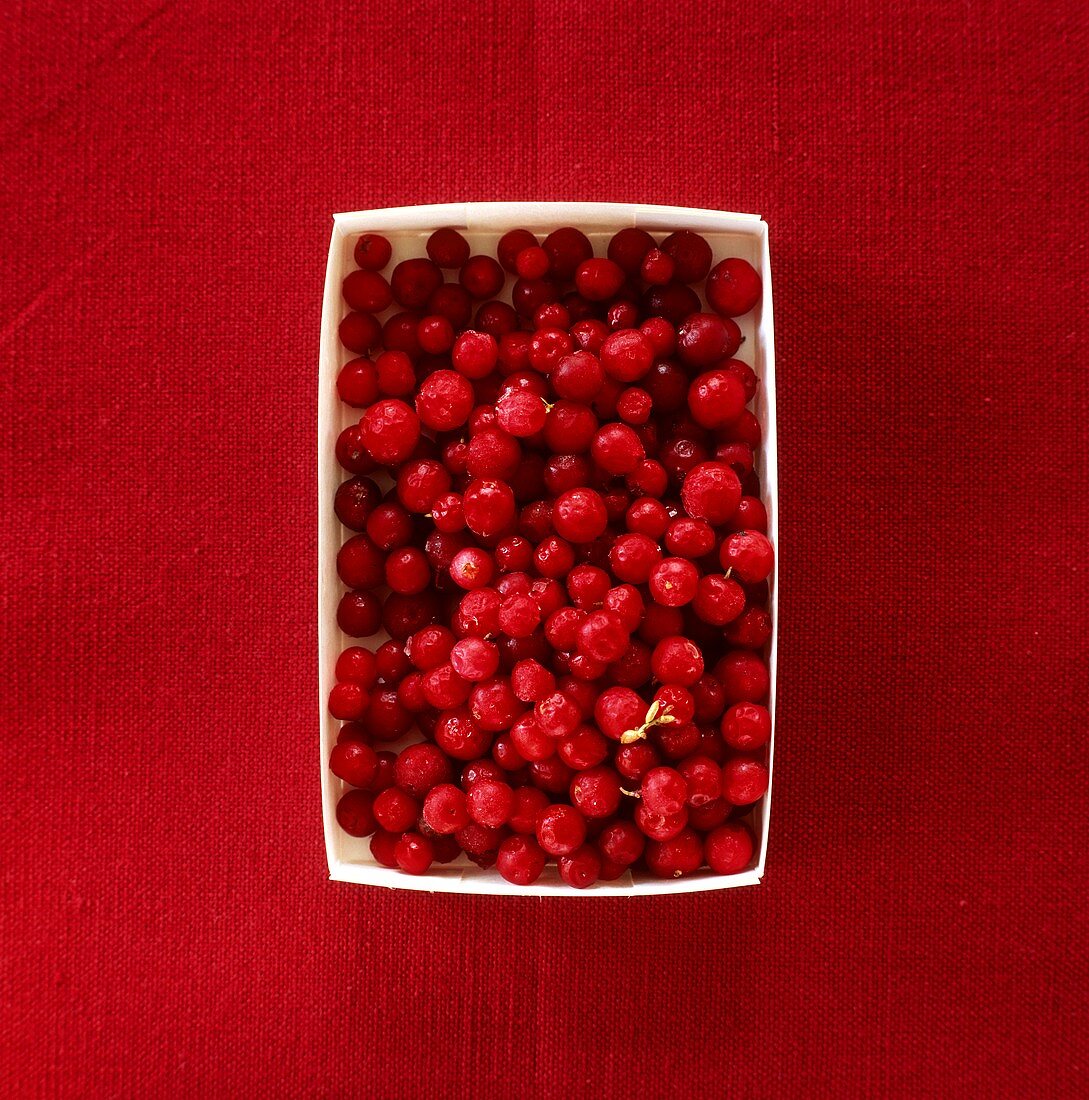 Cranberries im Pappschälchen