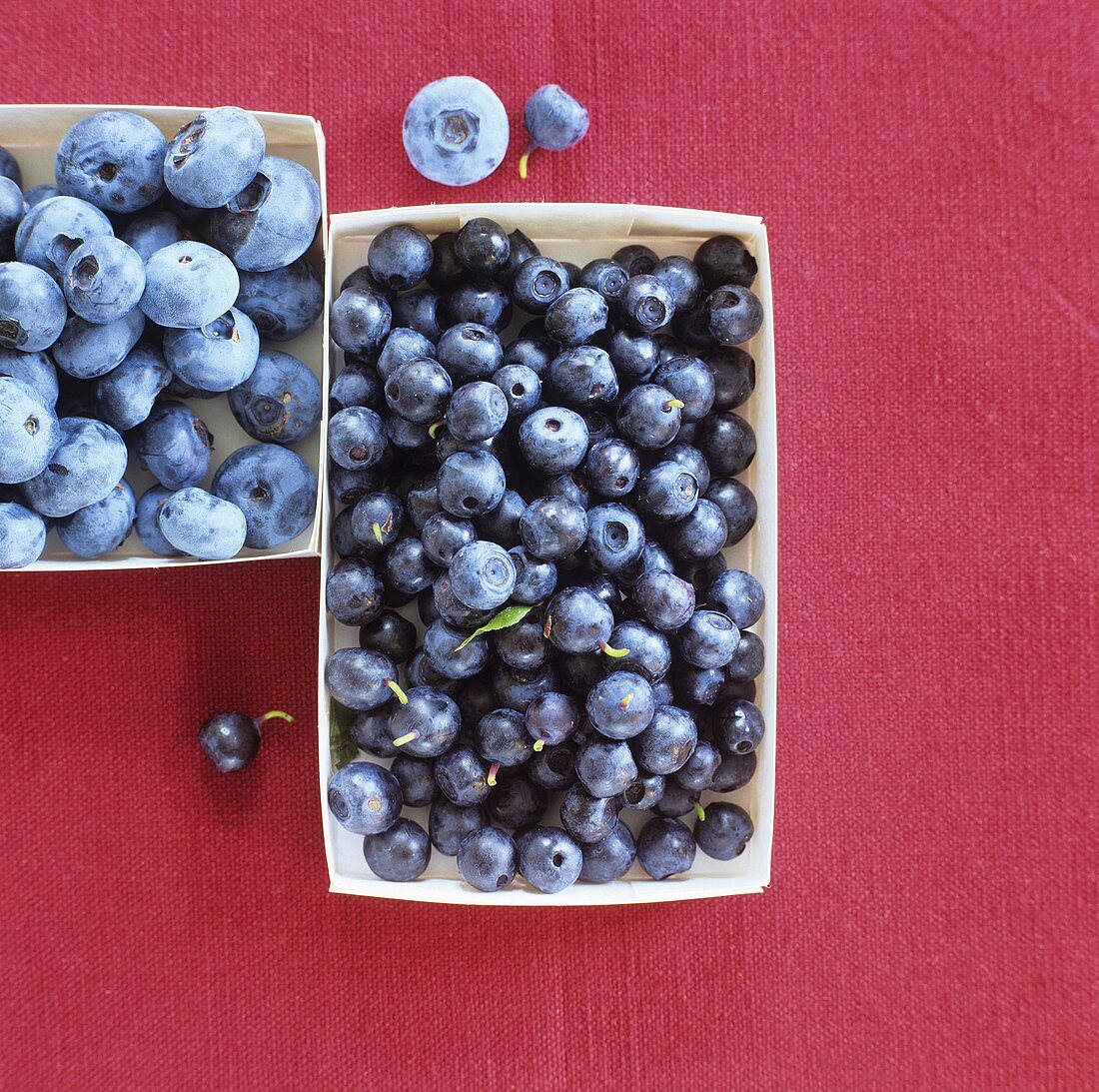 Blueberries in cardboard punnet