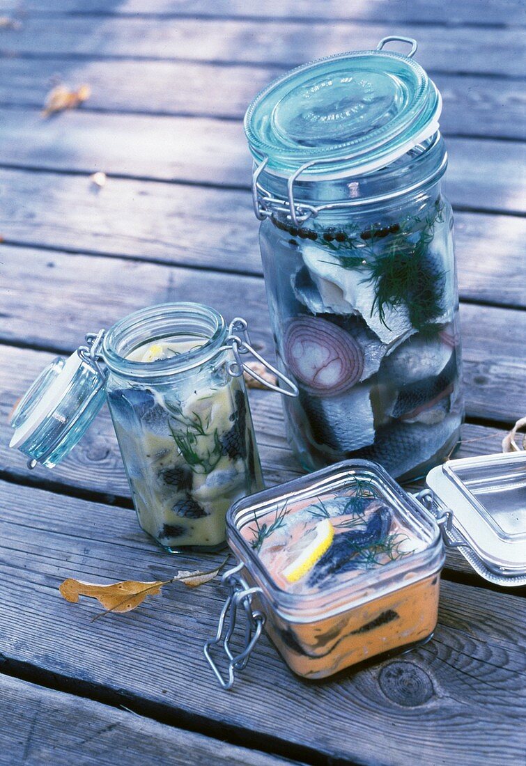 Various pickled herrings in jars