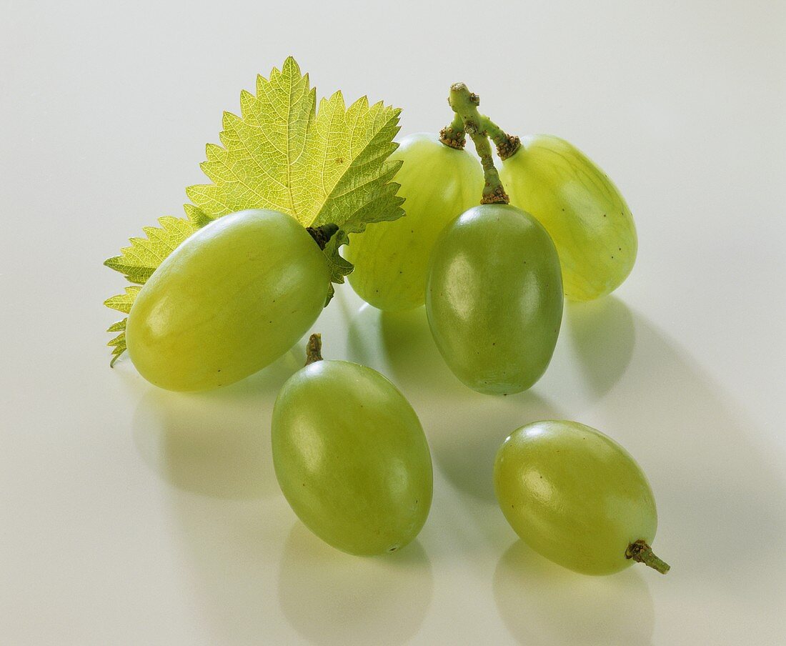 Grüne Trauben mit Weinblatt