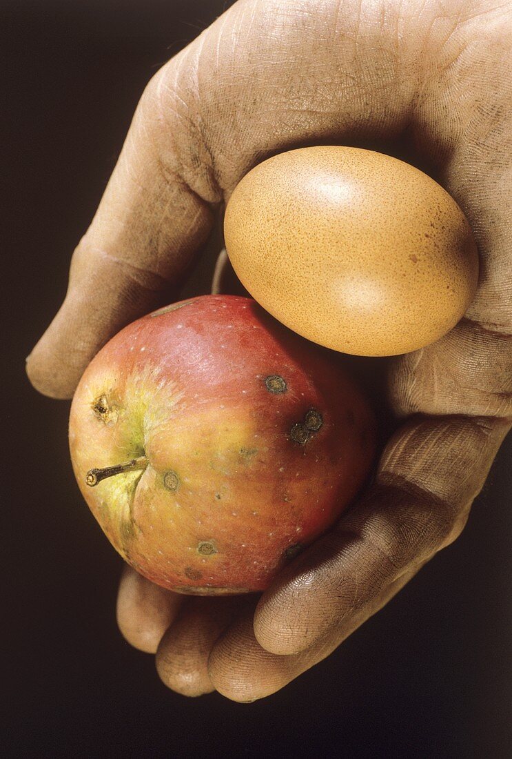 Schmutzige Hand hält Apfel und ein Ei