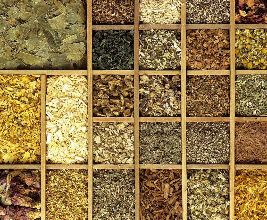 Various medicinal herbs (filling the picture)