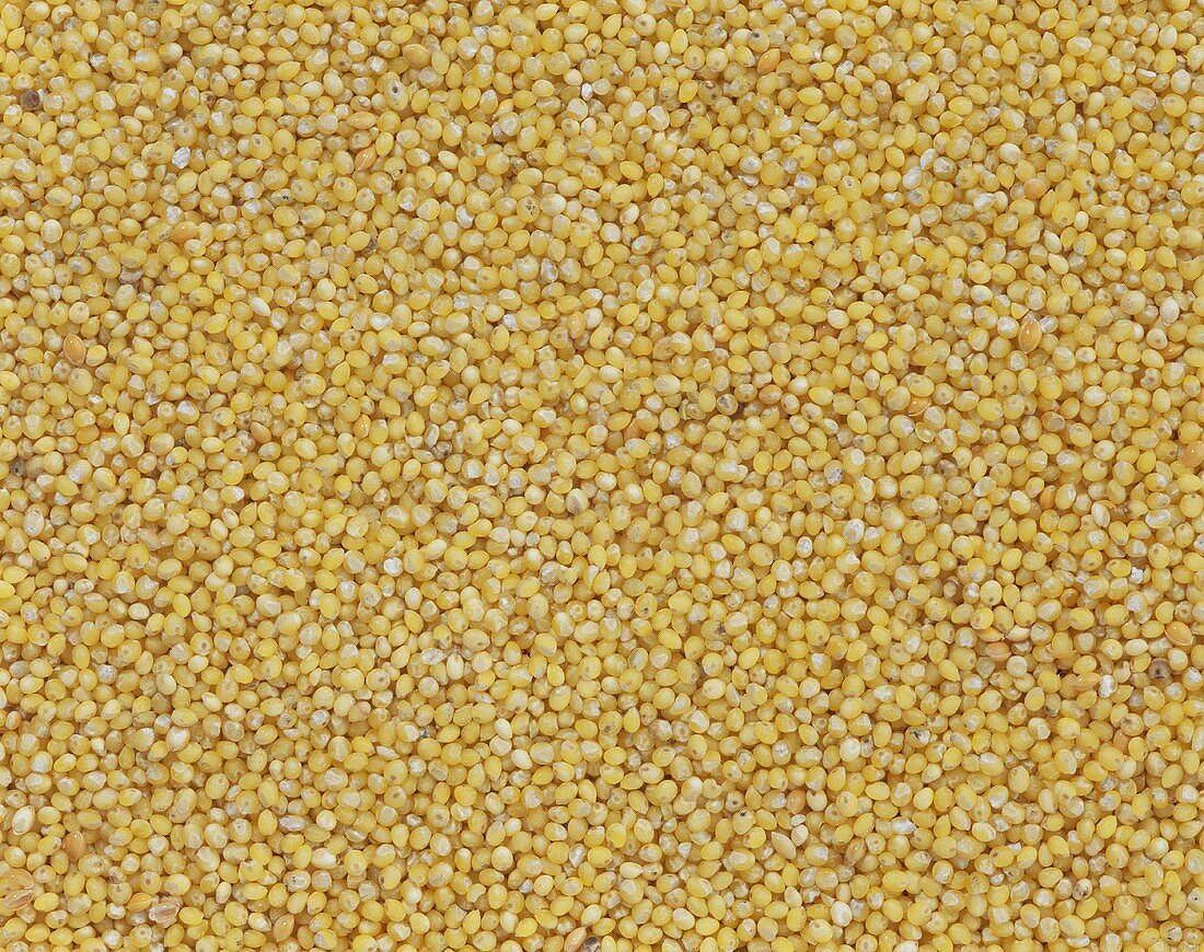 Millet (filling the picture)