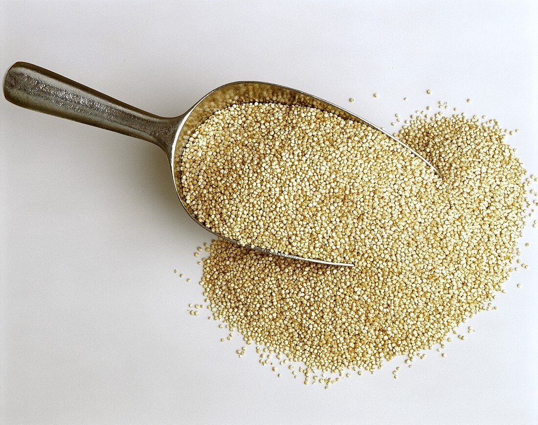 Quinoa, some on metal scoop