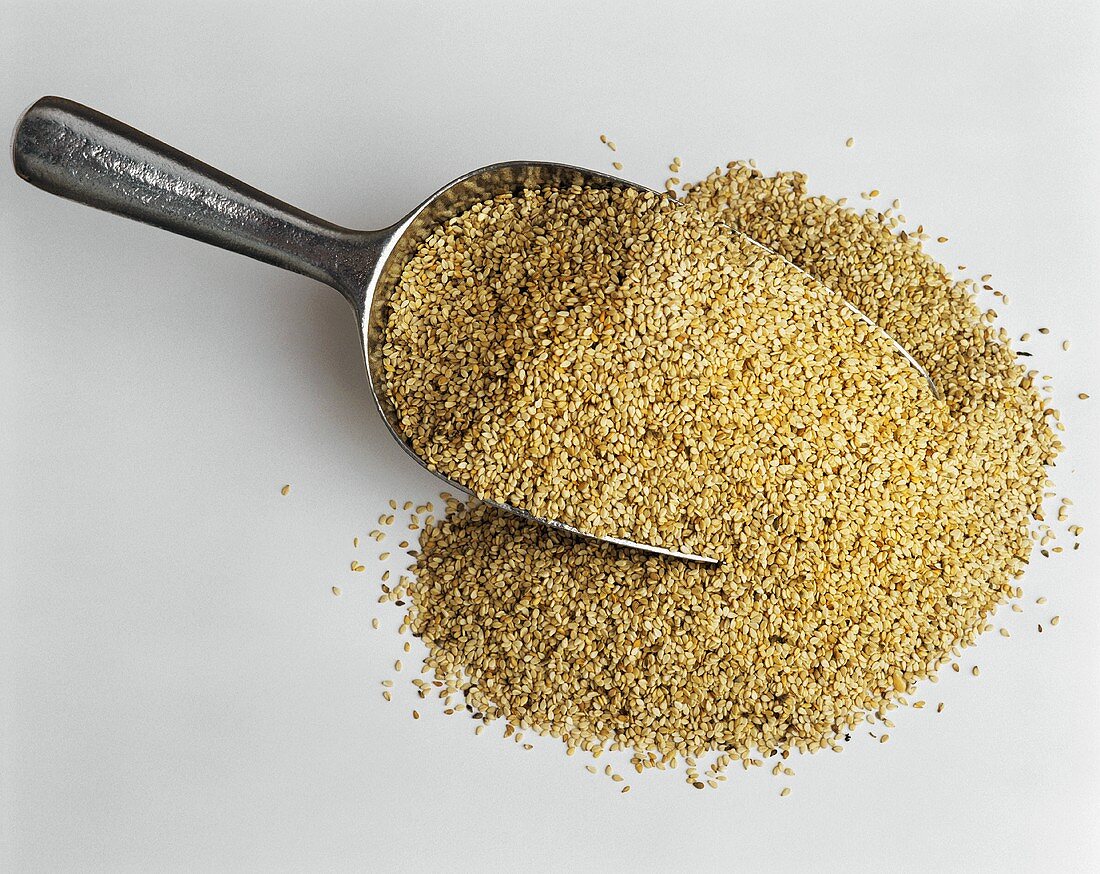 Sesame seeds, some on metal scoop