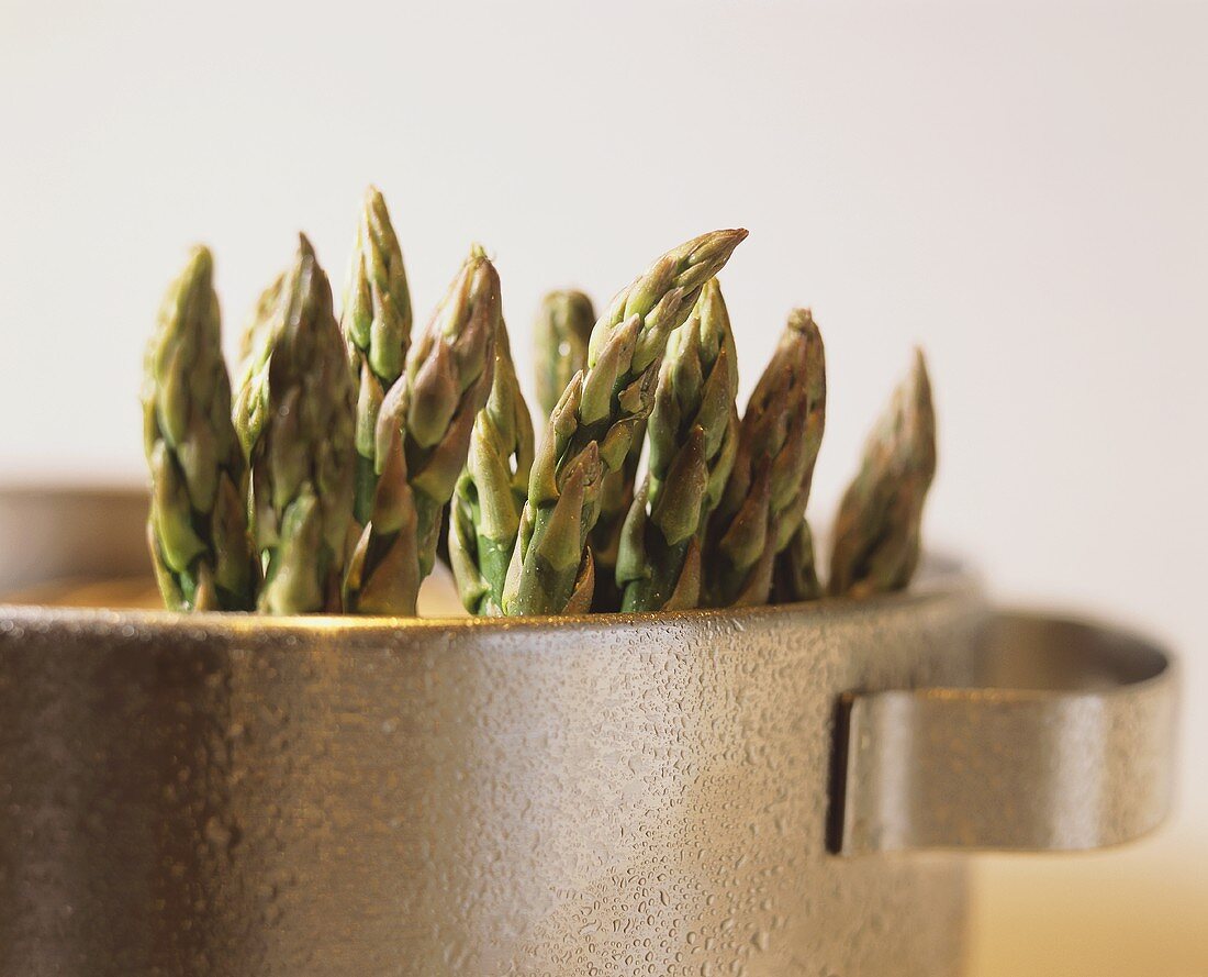 Green asparagus in a pot